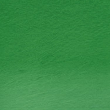 PROCOLOUR SAP GREEN 